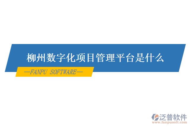 柳州數(shù)字化項目管理平臺是什么