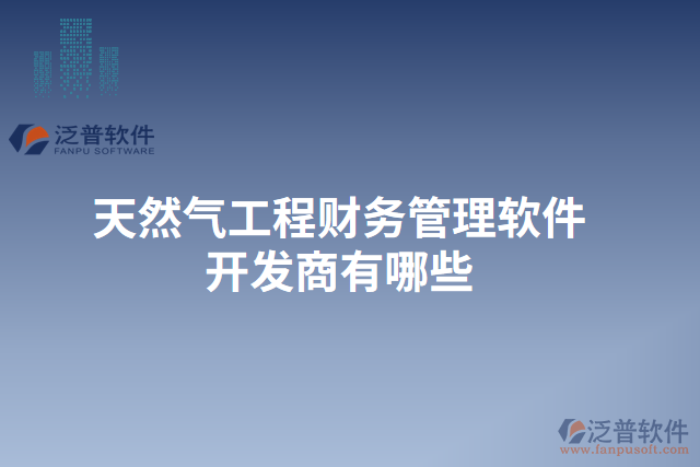 天然氣工程財(cái)務(wù)管理軟件開(kāi)發(fā)商有哪些