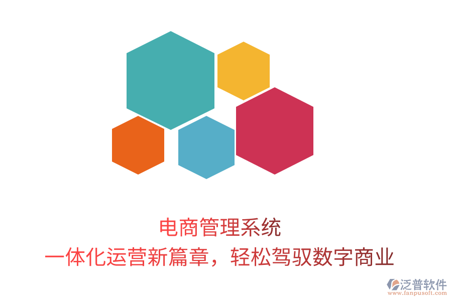 電商管理系統(tǒng)，一體化運(yùn)營(yíng)新篇章，輕松駕馭數(shù)字商業(yè)