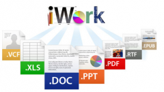 關(guān)于無紙化辦公OA系統(tǒng)。領(lǐng)導(dǎo)不會使用電腦如何解決呢？