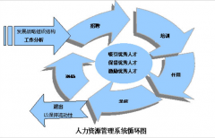 人力資源管理系統(tǒng)有哪些產(chǎn)品？
