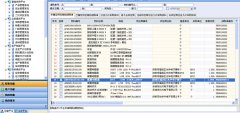 電子化政府采購(gòu)包含哪些內(nèi)容？