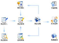 財務軟件是否有網(wǎng)絡版的？