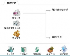 財務(wù)軟件免費版的優(yōu)缺點有哪些？