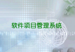 什么是項目管理軟件??！在那里可以下載啊！