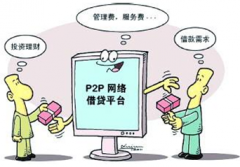 什么是P2P網(wǎng)絡借貸平臺？