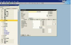 在哪里能下載到SAP財(cái)務(wù)軟件呢？