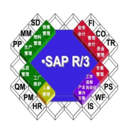 SAP是不是屬于財務(wù)軟件類？