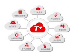 用友t+(U盤版)這個軟件怎么樣？