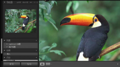 照片管理軟件產(chǎn)品體系結(jié)構(gòu)